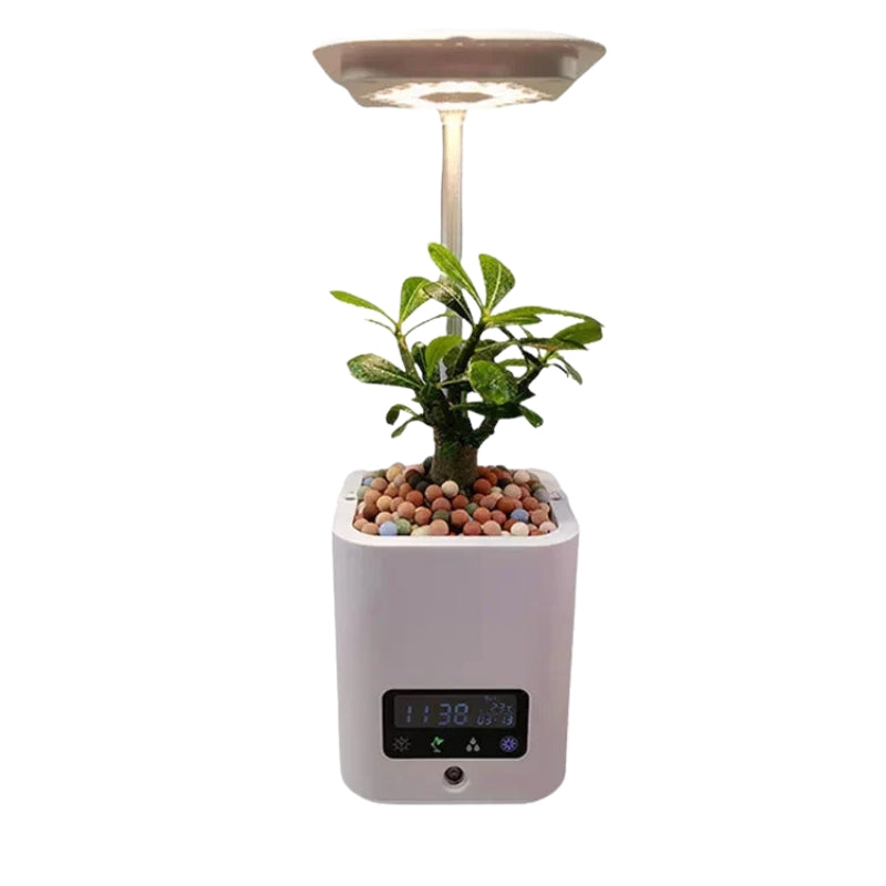 Aromatherapy Diffuser with LED Pot and Alarm Clock | Multifunctional