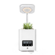 Aromatherapy Diffuser with LED Pot and Alarm Clock | Multifunctional