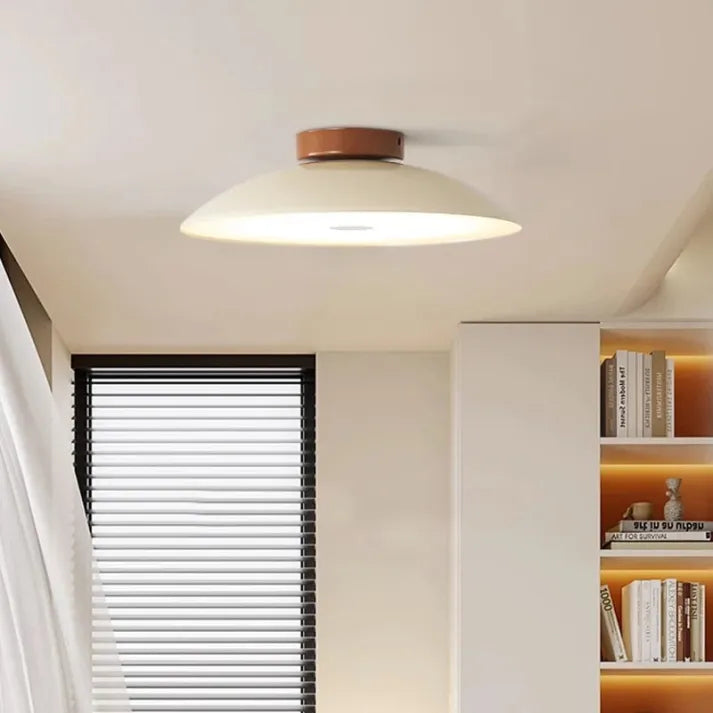 Ceiling Lights Modern Flush Mount | Living Room
