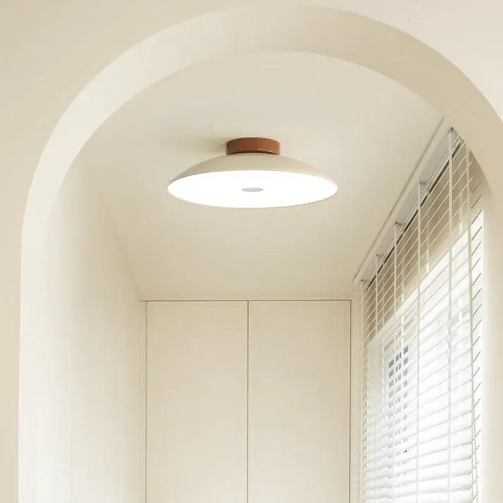 Ceiling Lights Modern Flush Mount | Living Room