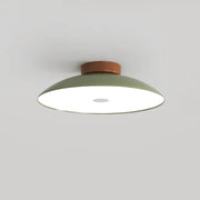 Ceiling Lights Modern Flush Mount | Living Room