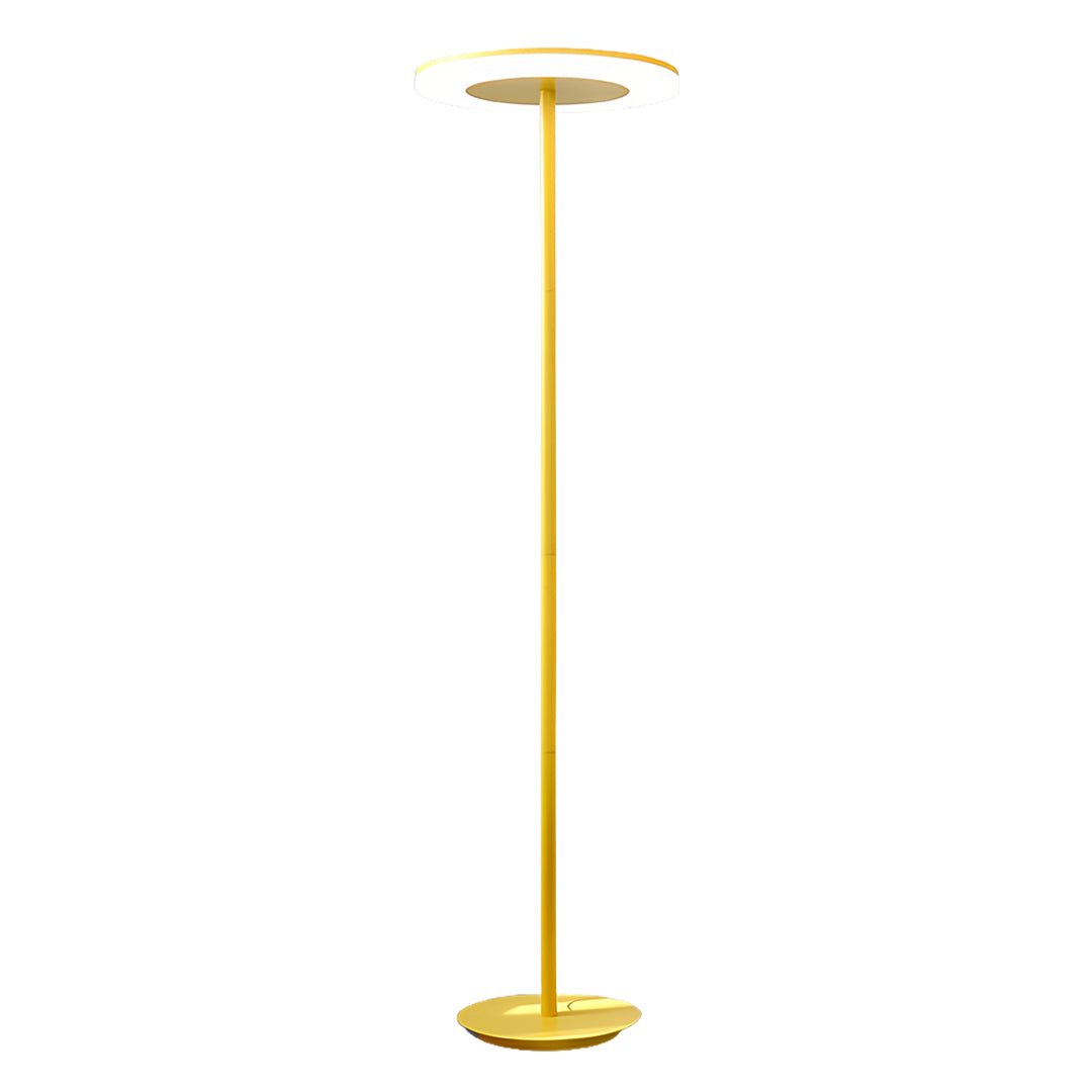 Floor Colored Ring Lamp Living Room | Office