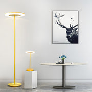 Floor Colored Ring Lamp Living Room | Office