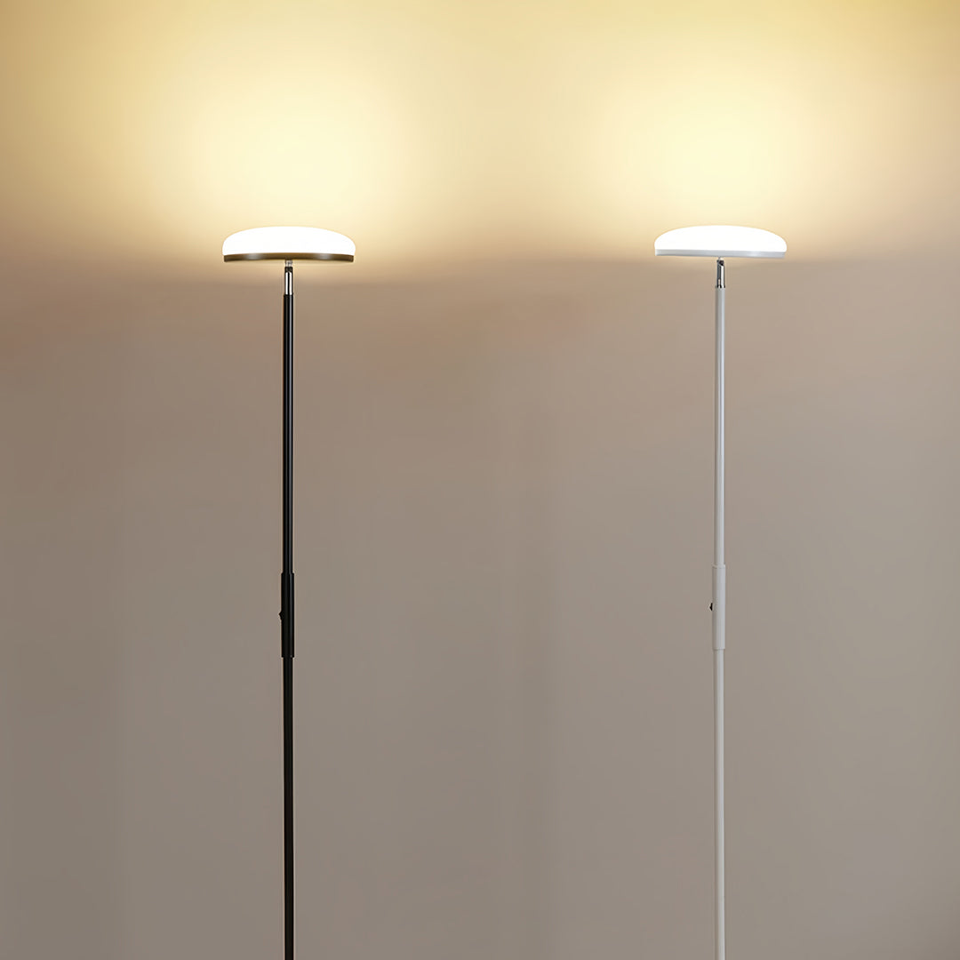 Floor Lamp Rotating Head Light Living Room | Office