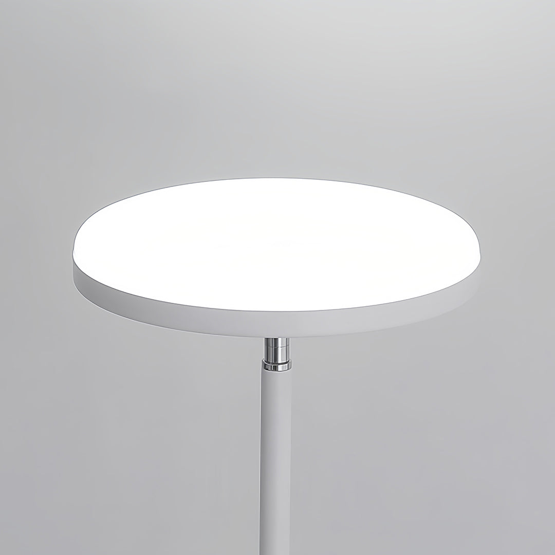 Floor Lamp Rotating Head Light Living Room | Office