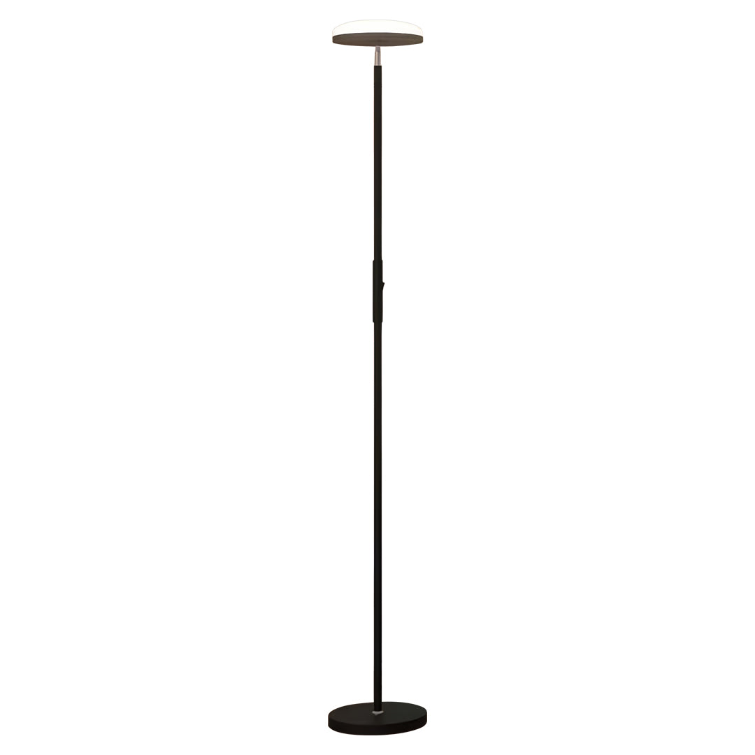 Floor Lamp Rotating Head Light Living Room | Office