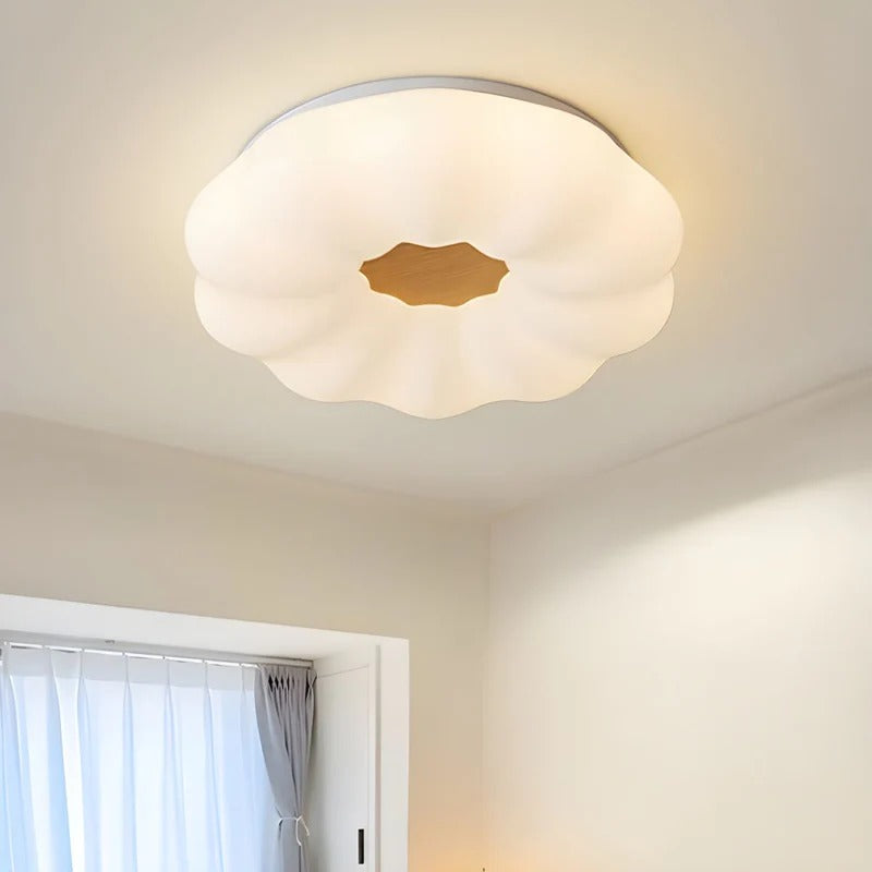 Modern LED Ceiling Lights | Flower Shape Design