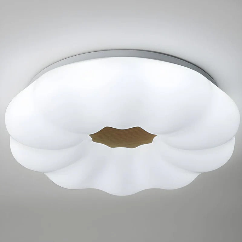 Modern LED Ceiling Lights | Flower Shape Design