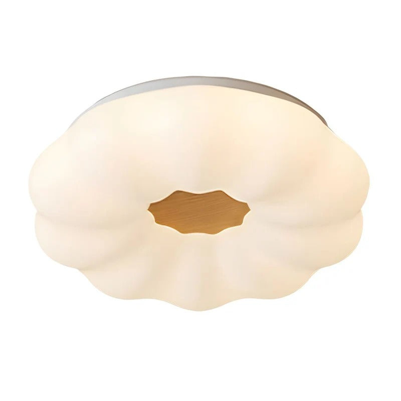 Modern LED Ceiling Lights | Flower Shape Design