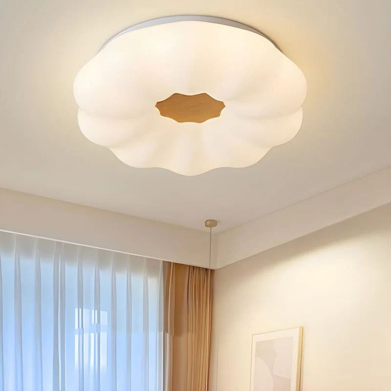 Ceiling Lights