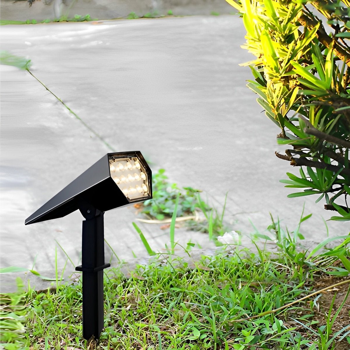Outdoor Lights LED Spotlight | Path & Garden
