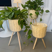 Round Plant Stand with Wooden Legs | Indoor