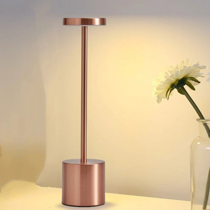 Table Lamps Battery Operated Modern Lighting for Bedroom or Living Room | LED